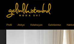 <a target='_blank' href='http://www.gelinlikistanbul.com.tr'>Click here for live site</a>